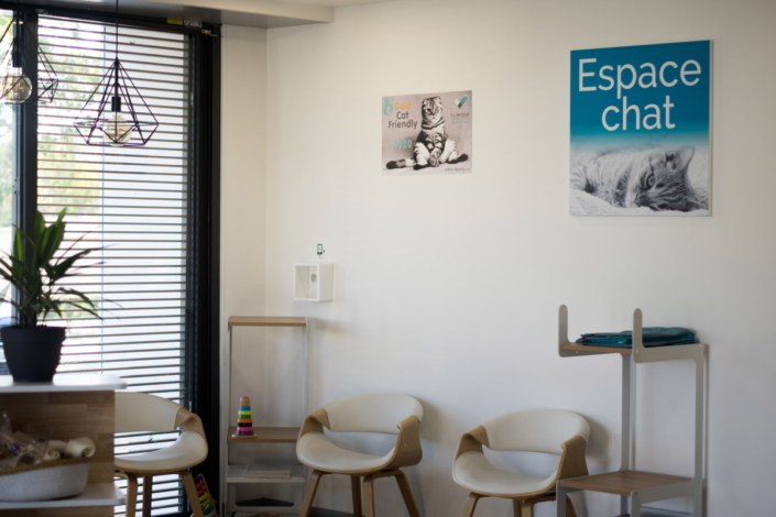 Salle d'attente séparée - Espace chat de la clinique vétérinaire de la rivière