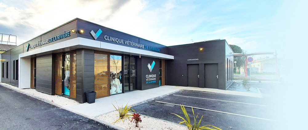 Clinique vétérinaire de la Rivière à Plaisance-du-Touch, près de toulouse