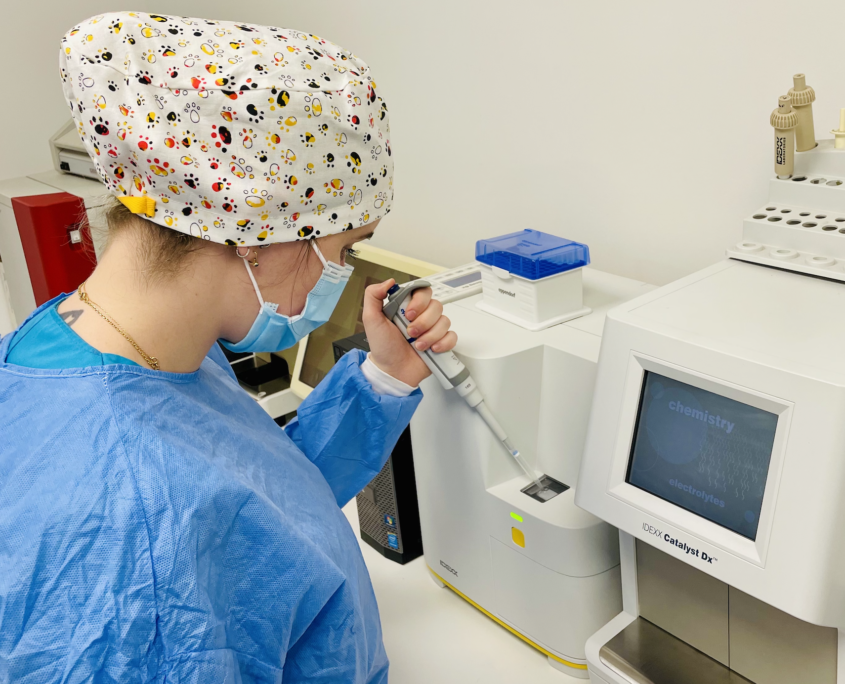 Analyse urine ASV