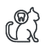 Dentisterie veterinaire Plaisance-du-Touch